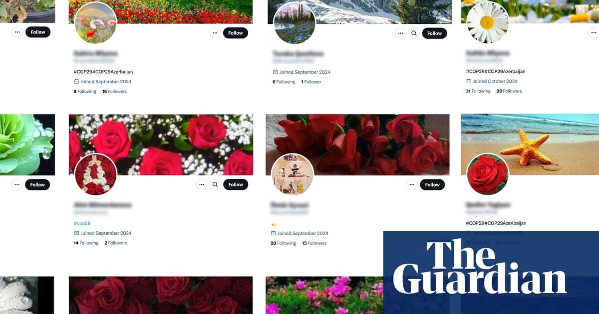 Apparently fake social media accounts boost Azerbaijan before Cop29