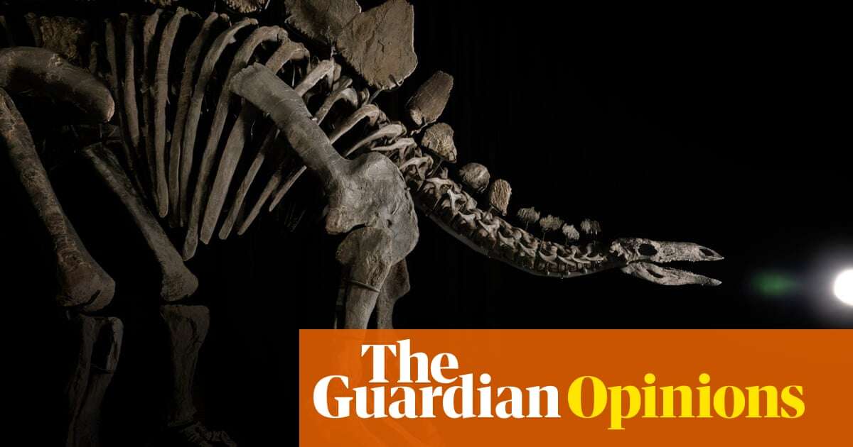 The super-rich are buying up dinosaur bones – and now they want our near-perfect Stegosaurus | David Hone