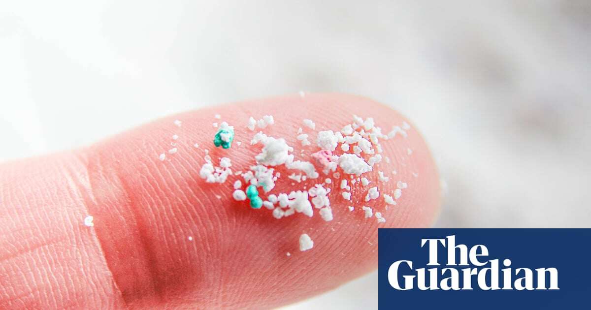 Microplastics can block blood vessels in mice brains, researchers find