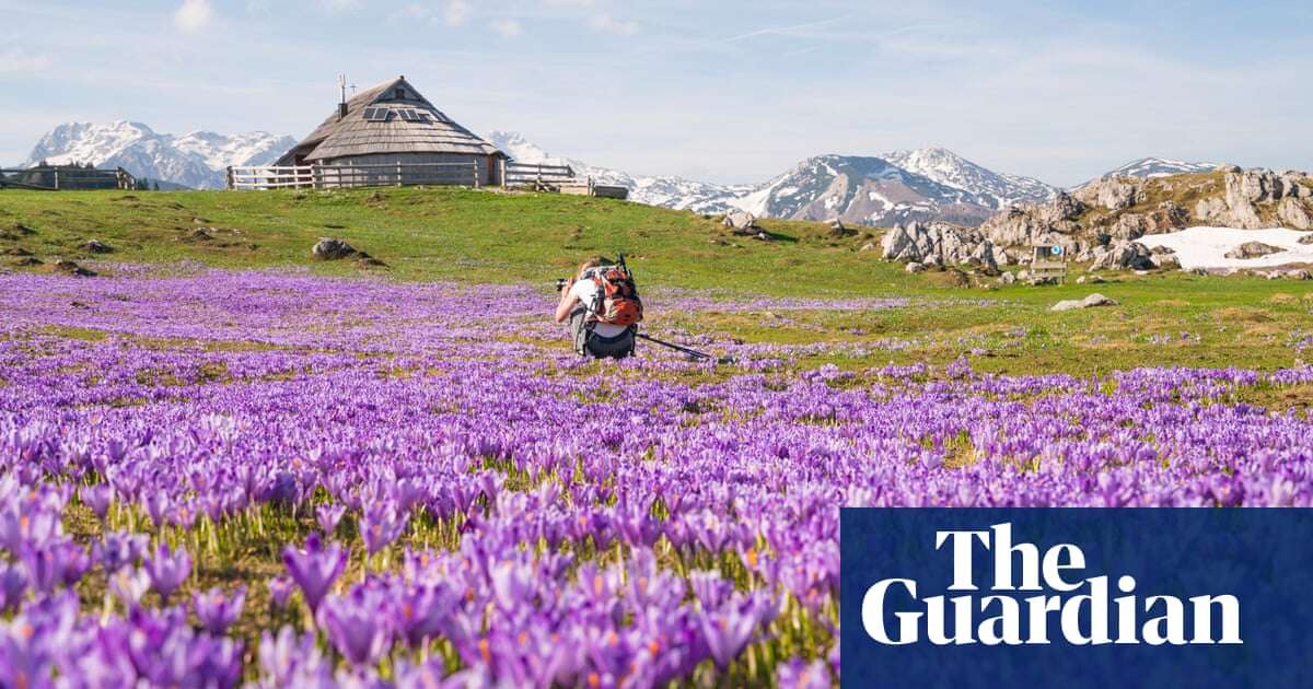 From an Alpine meadow to a Greek island: five of the best spring breaks in Europe