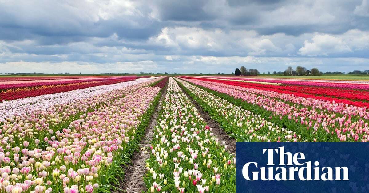 ‘I cycled through flower fields stretching as far as the eye can see’: readers’ favourite European spring breaks