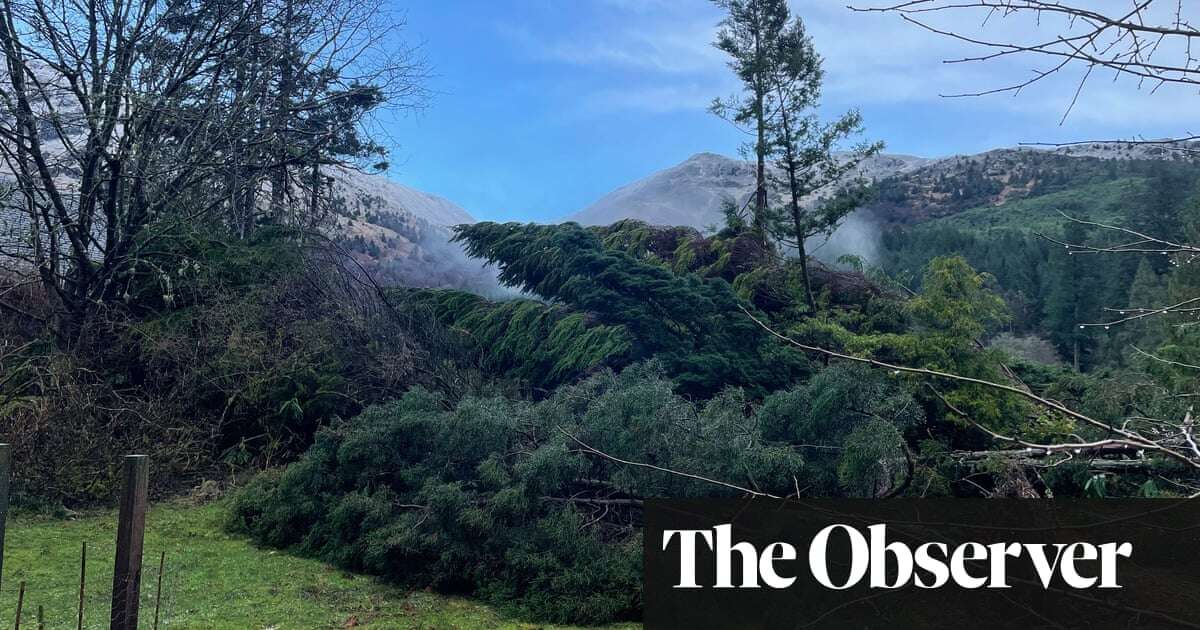 Kew’s rescue mission: arborists head to Scotland after hundreds of trees and plants felled by Storm Éowyn