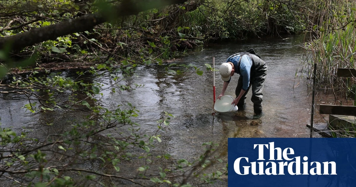 ‘Irreplaceable habitat’: planning bill raises fears for England’s chalk streams