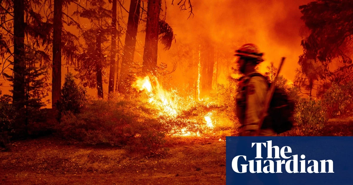 Trump to merge wildland firefighting forces, despite warning of chaos