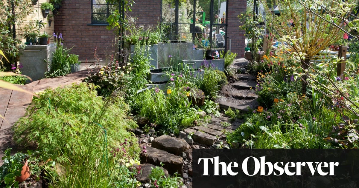 ‘Embrace the bog’: Chelsea flower show expert champions flood-proof garden