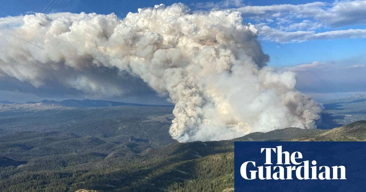 ‘Two sides of the same coin’: governments stress links between climate and nature collapse