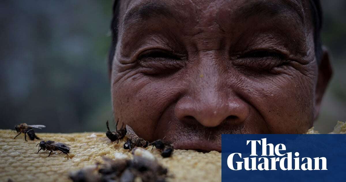 ‘Fraught with danger’: wild honey gathering in Nepal – in pictures