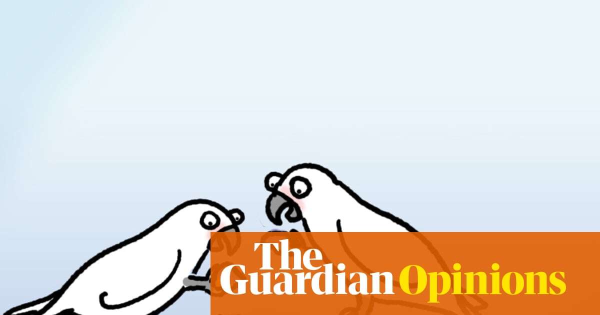 Everyone loves dunking morsels of food in dips – and it turns out so do cockatoos | First Dog on the Moon