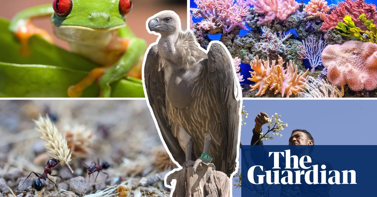 The age of extinction What happens when humans meddle with nature?