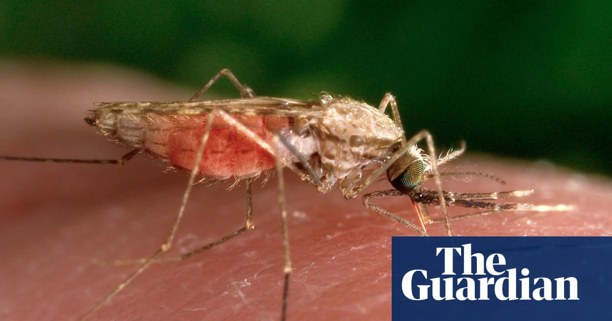 Mosquitoes can become attracted to insect repellant, study suggests