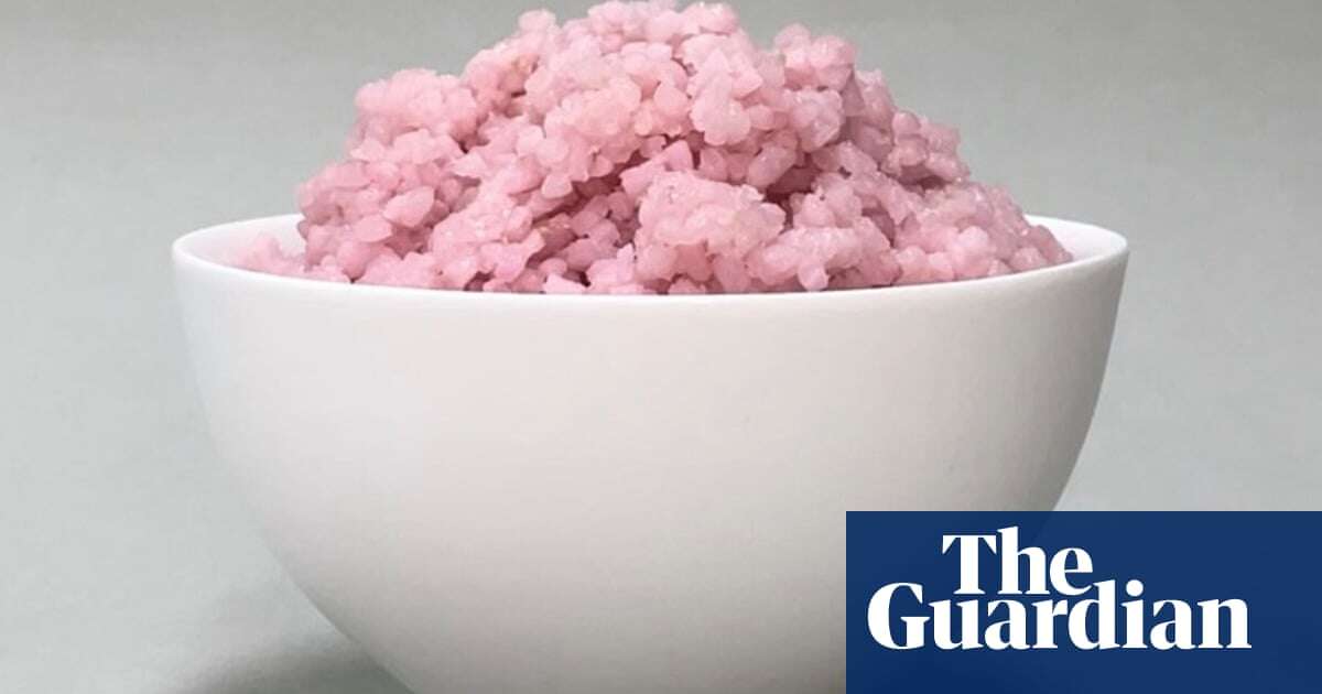 Lab-grown ‘beef rice’ could offer more sustainable protein source, say creators