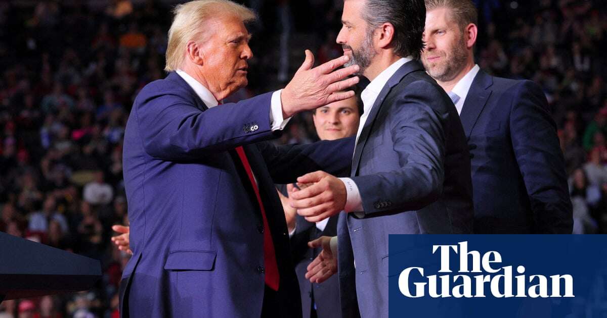 Donald Trump Jr emerges as key voice influencing father’s cabinet picks – report