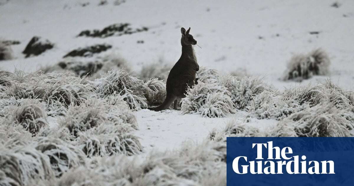 Australian Alps face world’s largest loss of snow by end of century, research shows