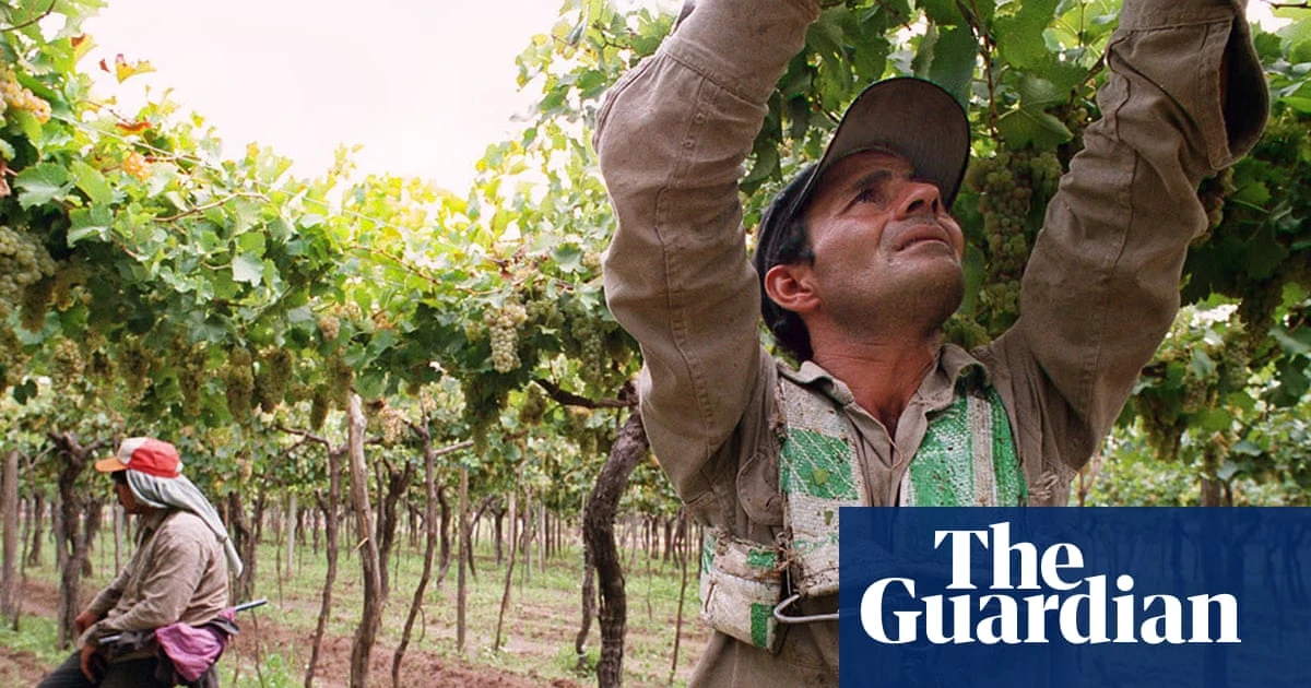 Not all Argentinian red wine is malbec | Hannah Crosbie on drinks