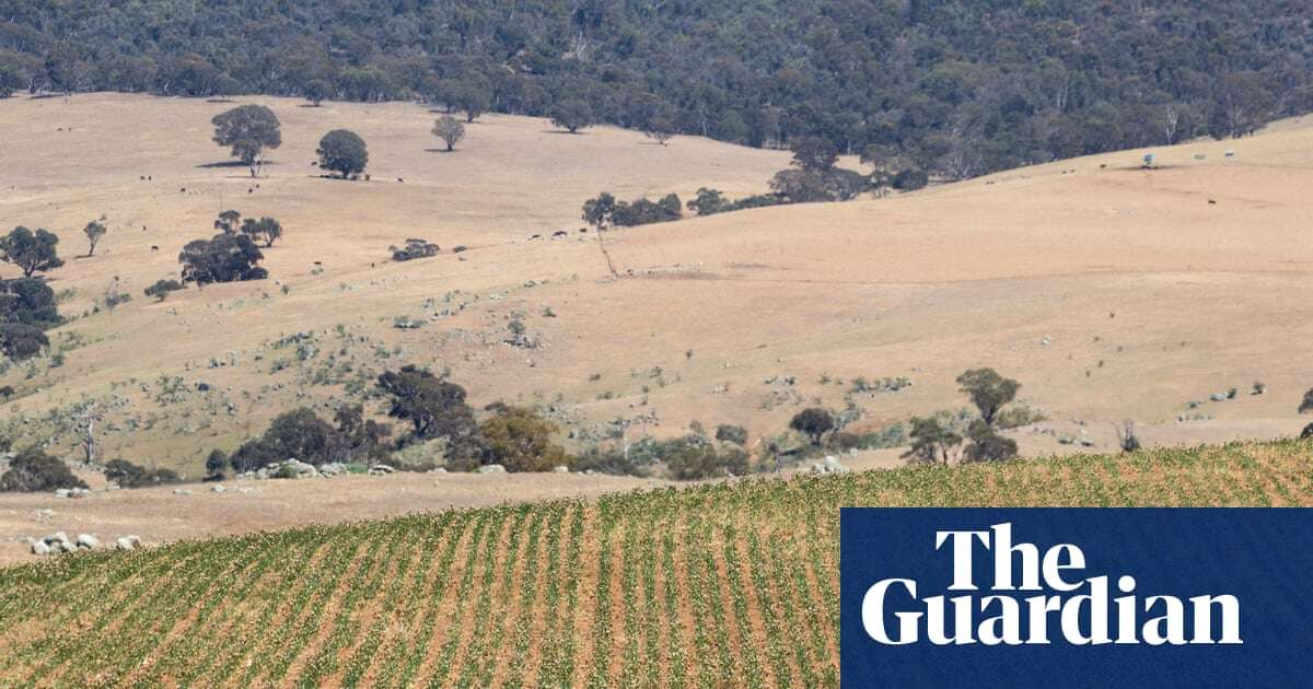 Company linked to Angus Taylor offered ‘generous’ offset calculation after illegal land clearing, FoI letters reveal