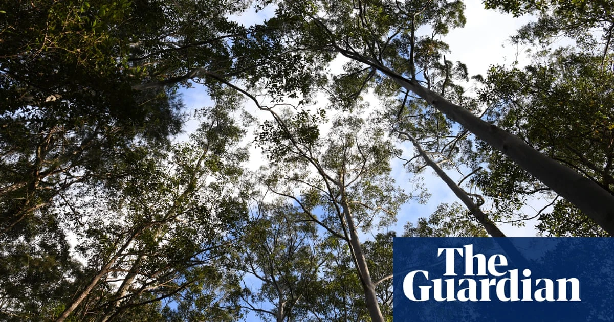 Environmentalists worry as Labor seeks consensus on new federal nature laws