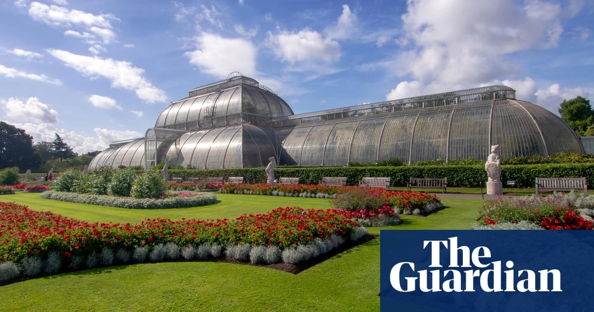 Kew Gardens’ tropical Palm House to shut for five years for net zero makeover