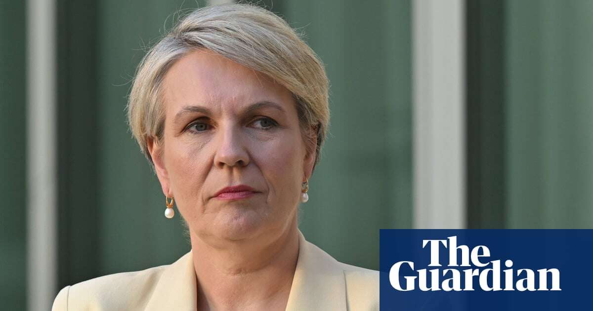 Environmental groups apply to take Tanya Plibersek to high court over coalmine approvals