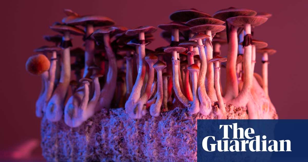 Medical research Magic mushrooms’ psilocybin can alleviate severe depression when used with therapy