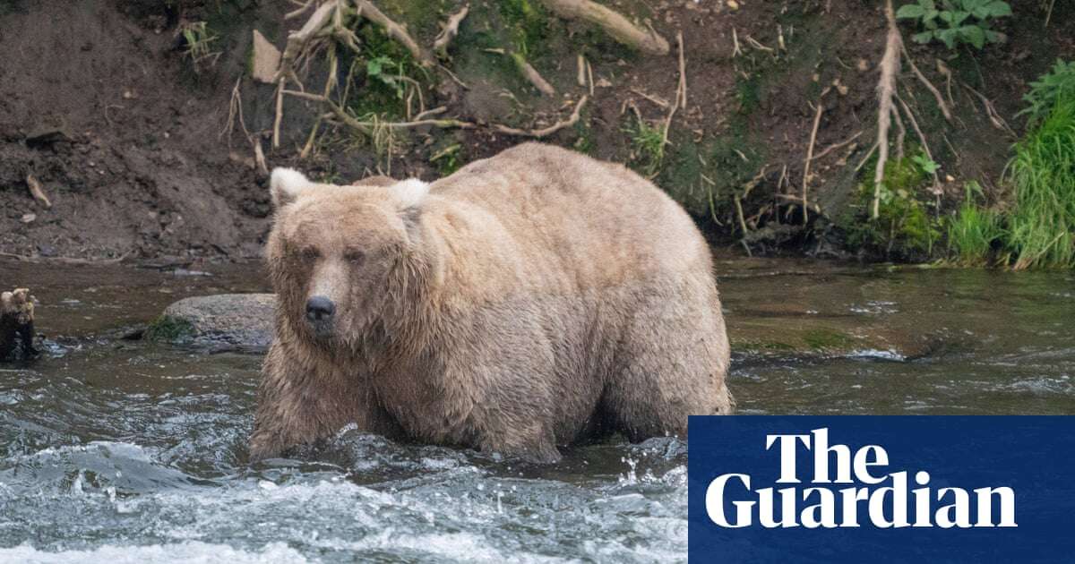 ‘Formidable’ female bear wins Alaska’s Fat Bear Contest for second year in row