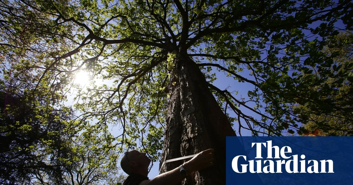 Half of Kew tree species at risk of death owing to climate crisis, study finds