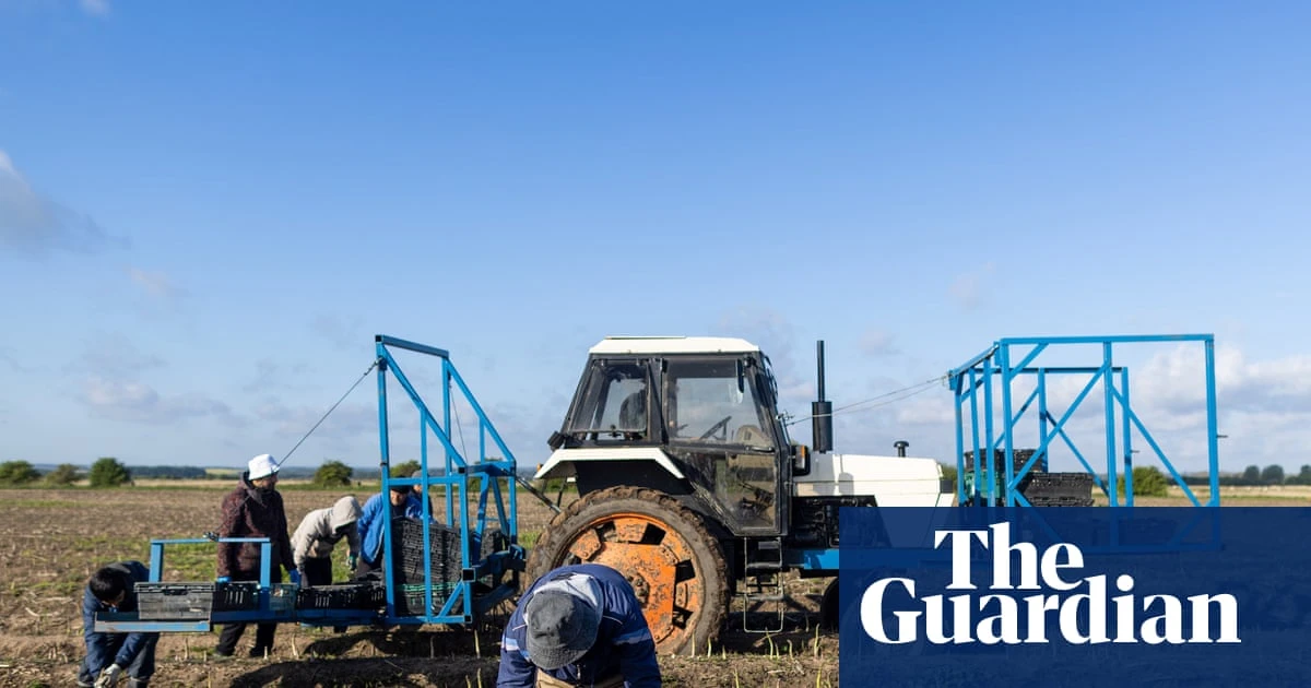 Tuesday briefing: How ‘climateflation’ is pushing food prices ever higher – and changing how we eat