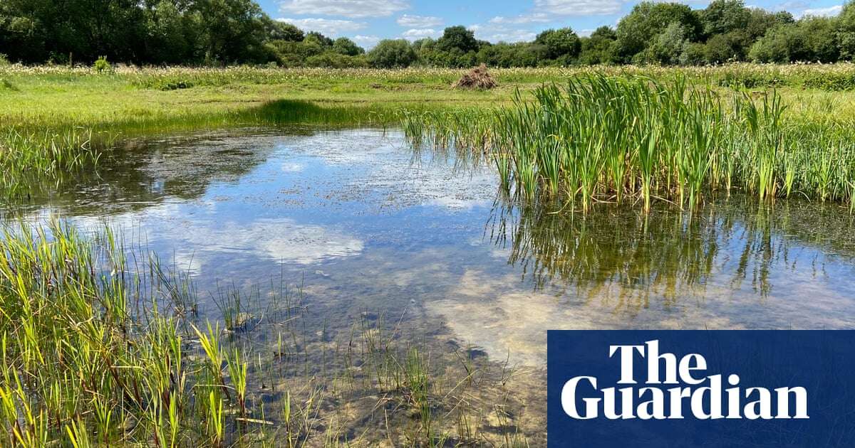 Push to identify ‘priority ponds’ in UK that are refuges for plants and animals