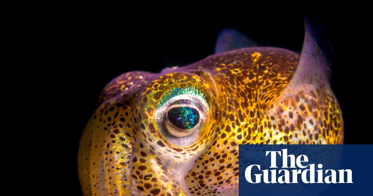 Australian Geographic nature photographer of the year 2025 – in pictures