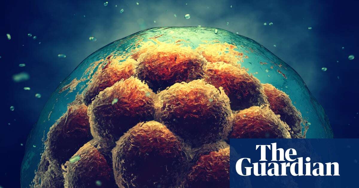 Biology Song of the Cell by Siddhartha Mukherjee review – the little lives within us