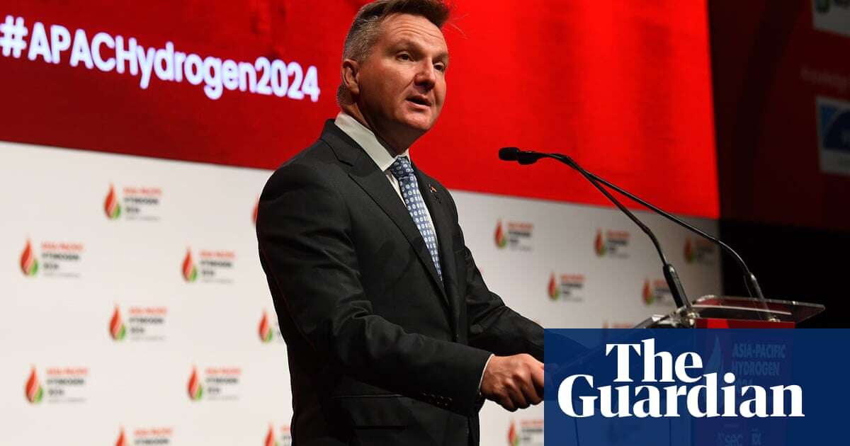 Labor’s new ‘renewable hydrogen’ targets aim for Australia to produce 15m tonnes by 2050