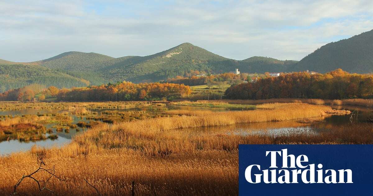 The Basque Country nature reserve at risk from Guggenheim expansion plans