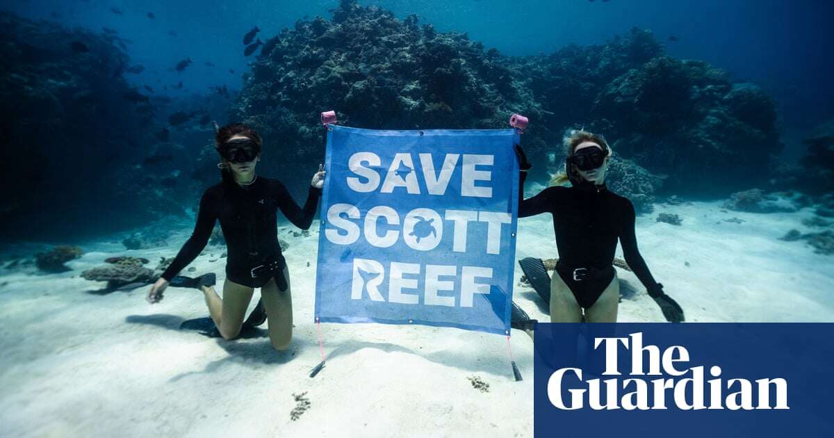 Rare vision of WA’s Scott Reef shows dazzling ecosystem threatened by gas projects – video