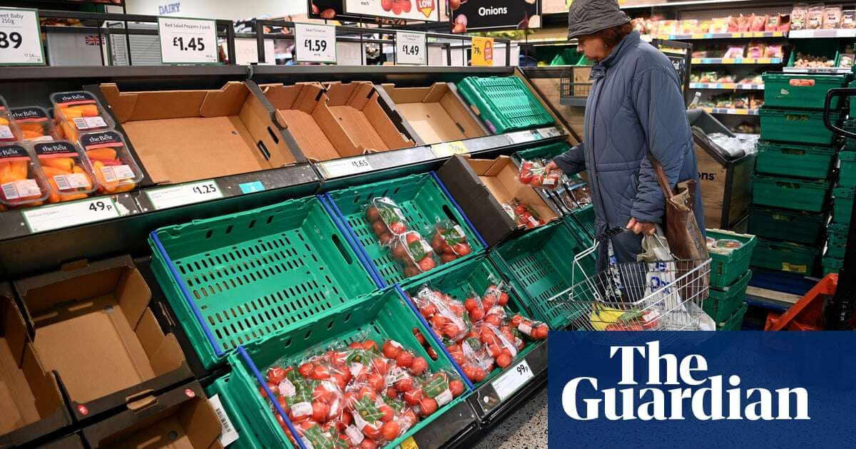 UK parties ignoring food shortage risks, say farming and retail bodies