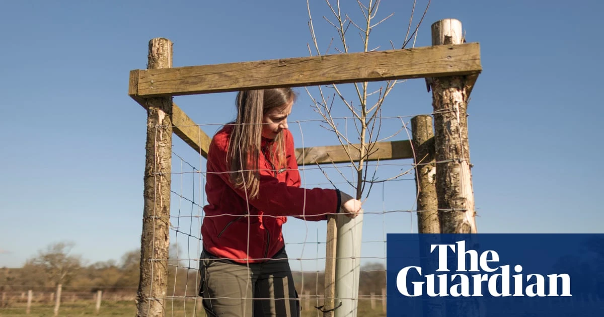 National Trust creates living gene bank of endangered native black poplar