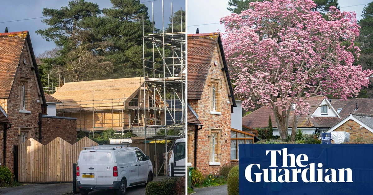 ‘Britain’s tallest magnolia tree’ cut down because of fears it would fall