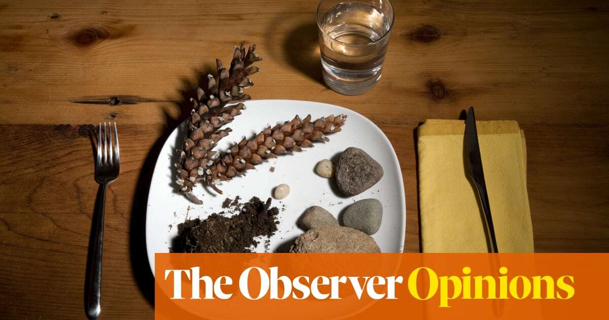 Sure, Google’s AI overviews could be useful – if you like eating rocks | John Naughton