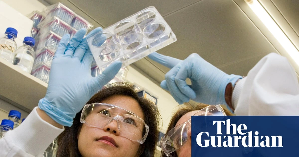 ‘Patients will suffer’: tales from the frontline of the UK pharma crisis