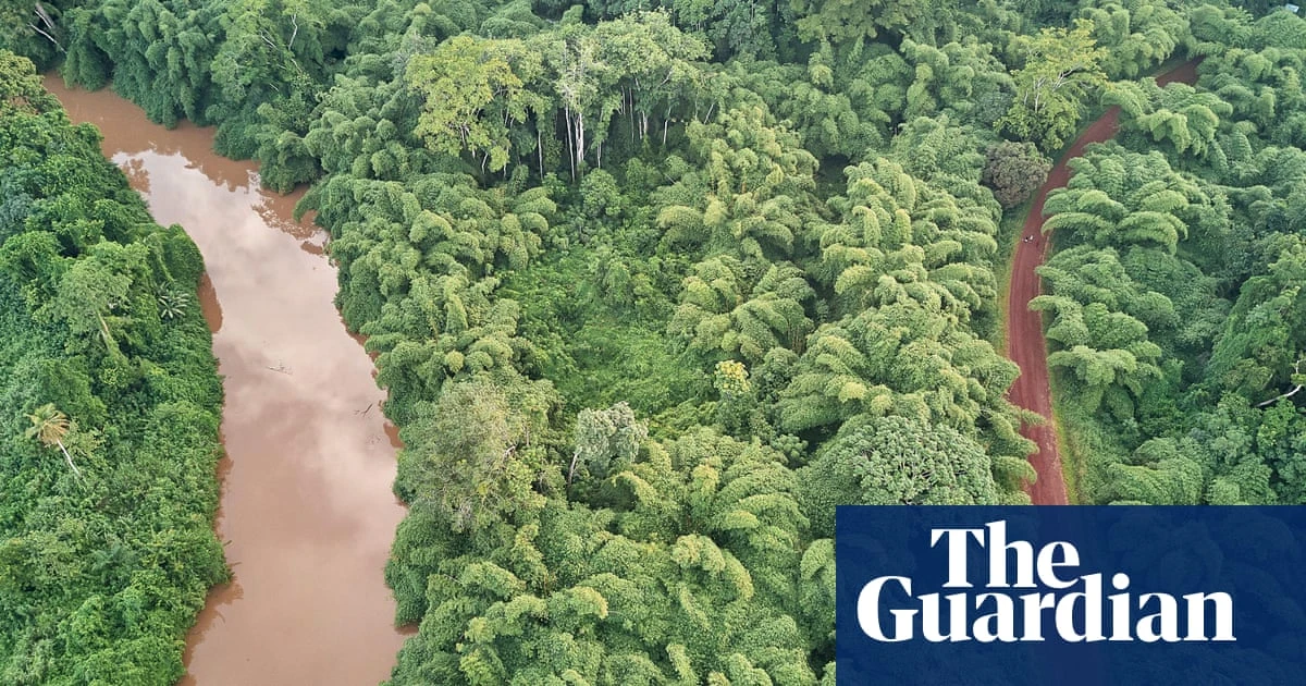 Pattern found in world’s rainforests where 2% of species make up 50% of trees