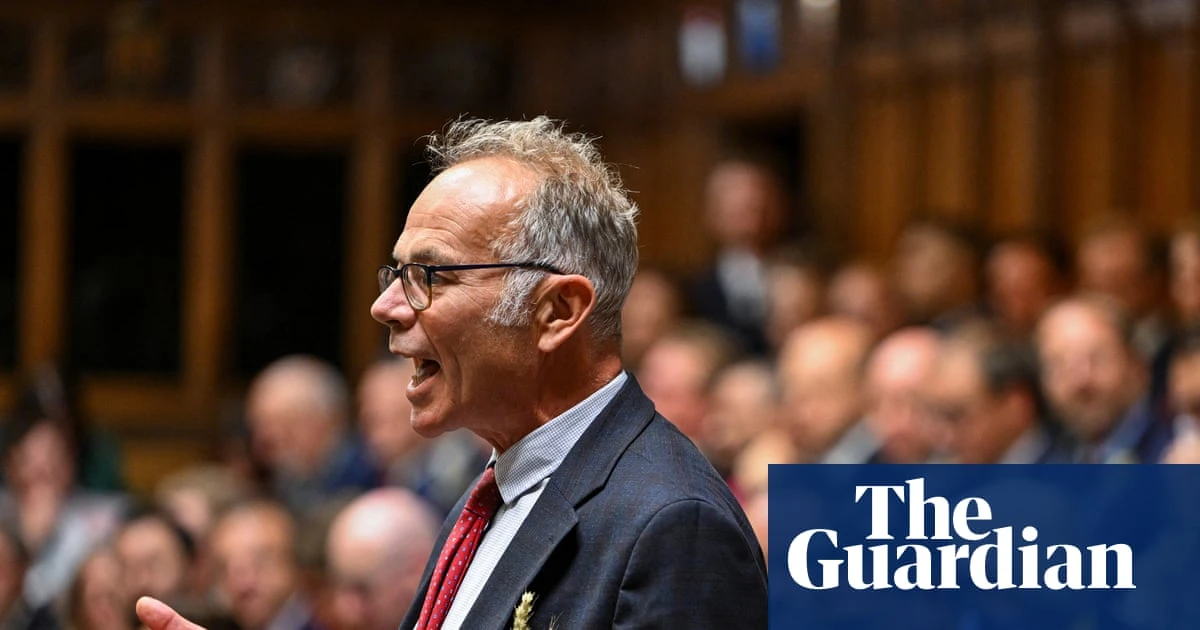 Two British MPs ‘denied entry’ into Israel during official West Bank visit