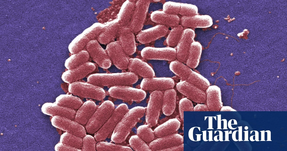 ‘More E coli cases in UK likely’ amid environmental health staff shortage