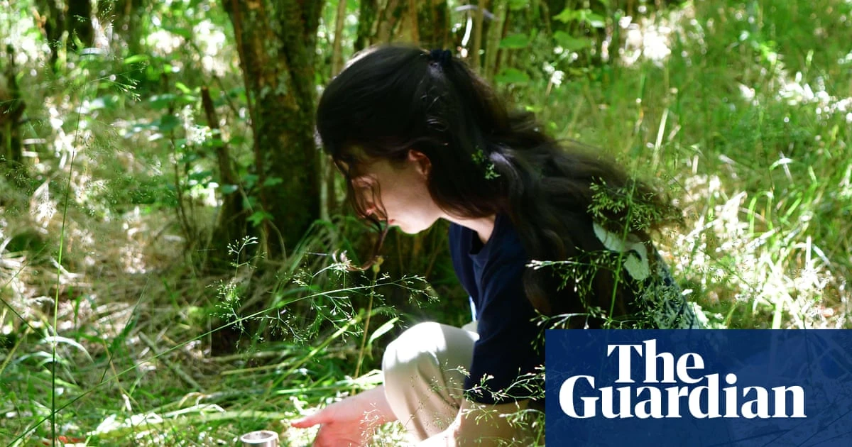 Magic mushrooms: how scientists discovered fungi are the secret ingredient for restoring the world’s forests