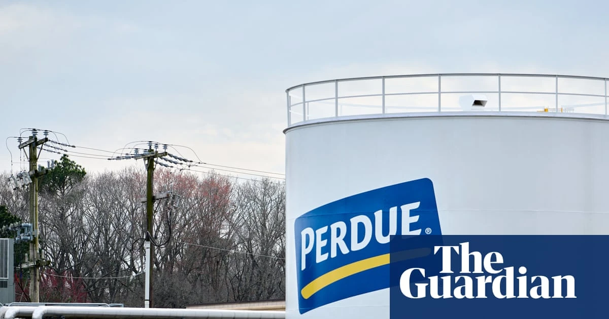 Waste from agricultural plant poisoned US town’s water with Pfas, lawsuits allege