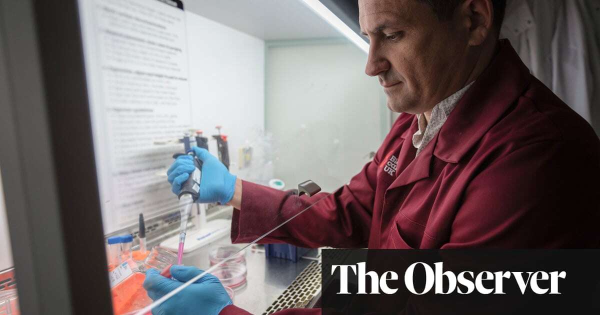 ‘He found a lump’: how school tragedy drove UK scientist’s mission to fight blood cancers