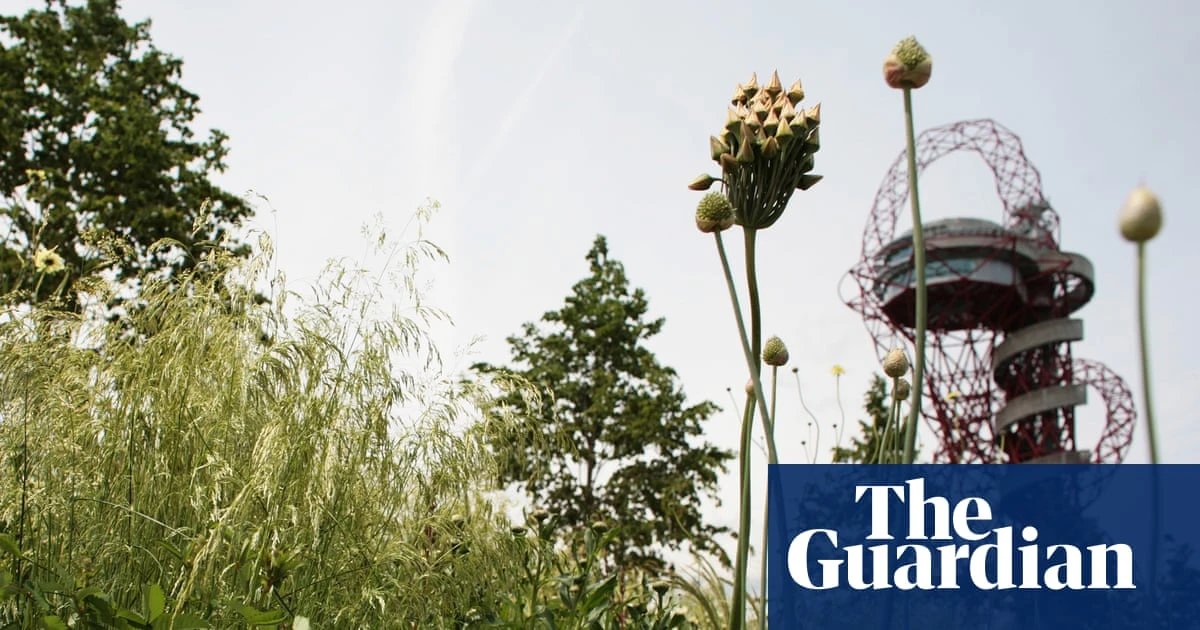 Half of UK councils still use pesticides in public places, research finds
