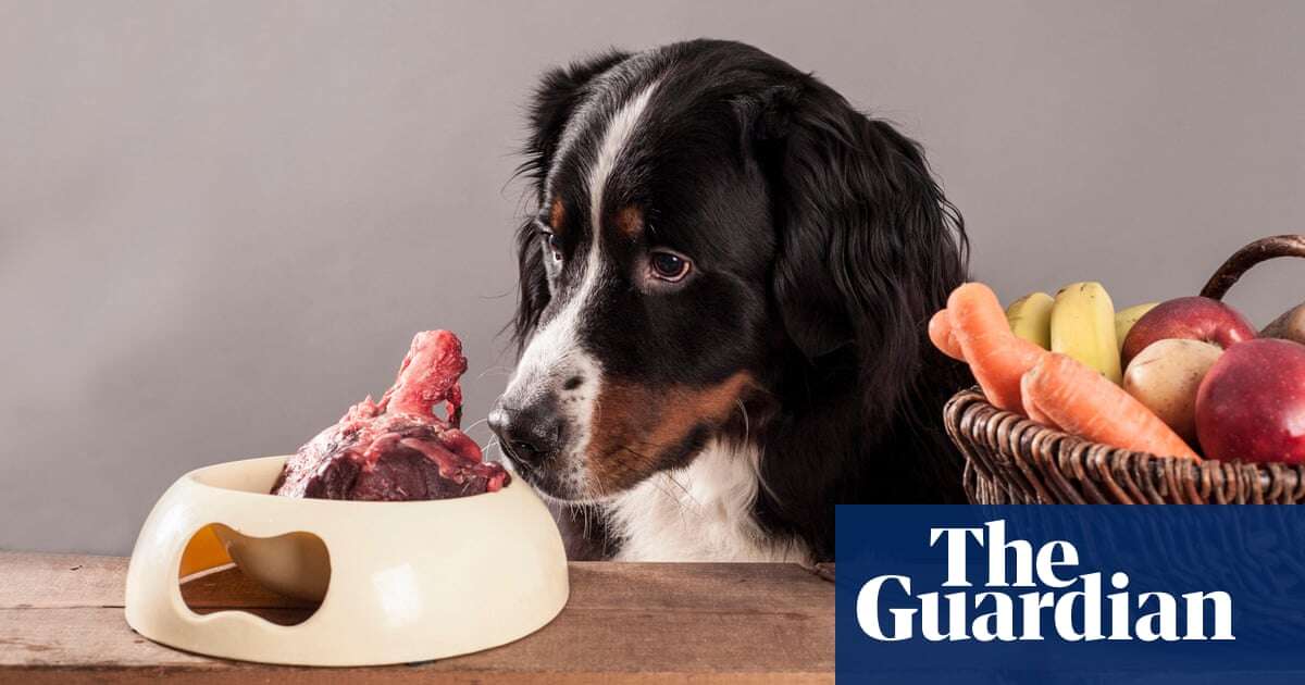 Strangest supermarket substitutions include dog treats instead of steak, poll shows