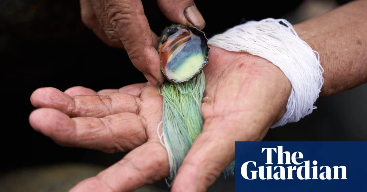 ‘We sometimes milked 3,000 snails a day!’: the dying art of milking molluscs