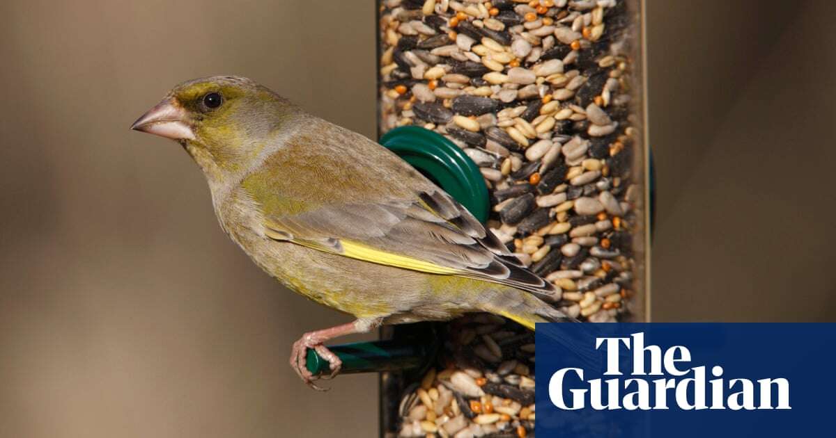 Nature lovers urged to take part in UK bird count amid fears over climate and disease