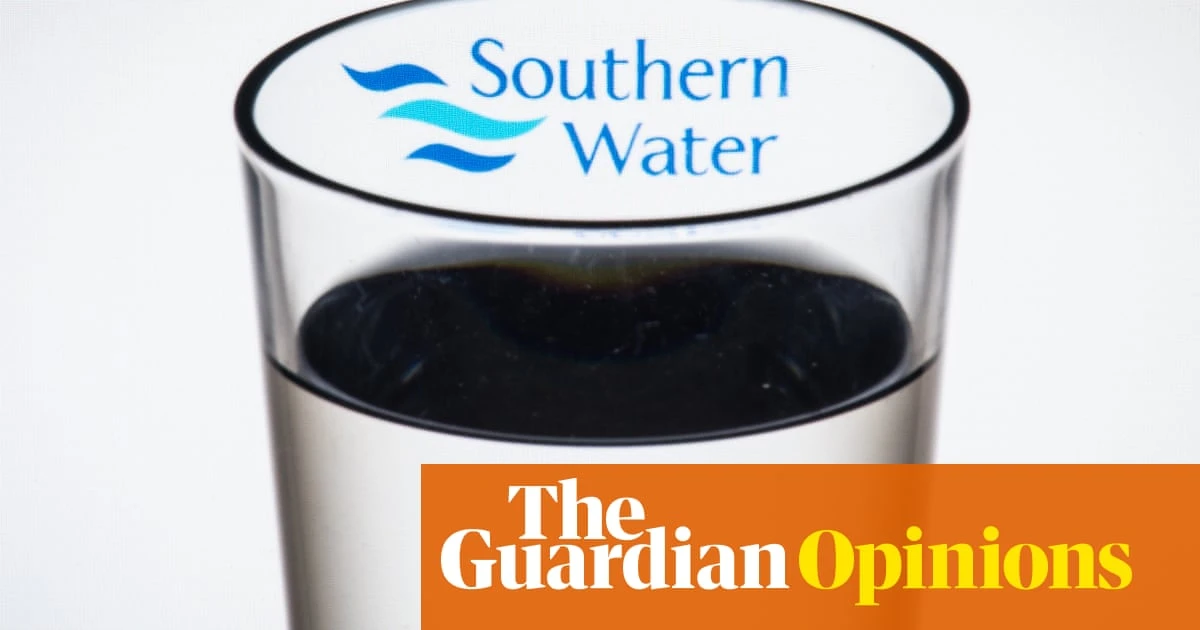 Macquarie digs deeper for redemption at Southern Water. There was no alternative | Nils Pratley