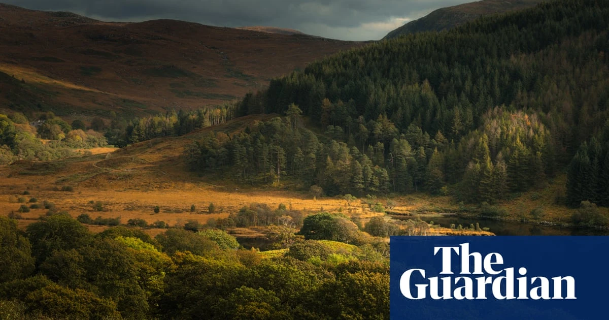 Scottish government selects Galloway as preferred site for new national park