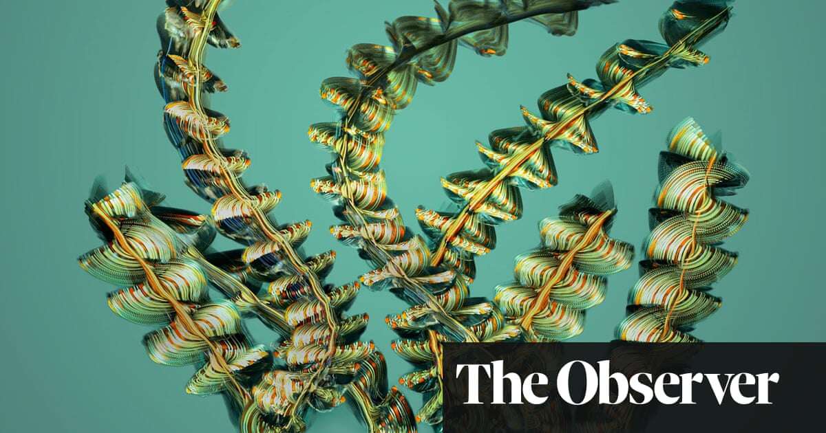 On a wing and a prayer: the hidden beauty of insect’s flight – in pictures